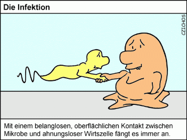 Infektion